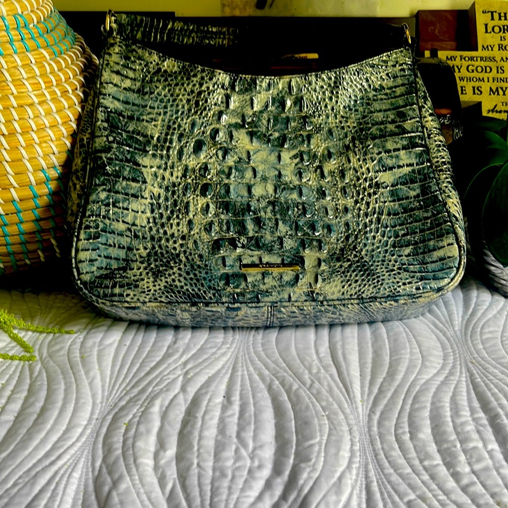 Beautiful almost new Brahmin purse. Very beautiful colors and fit for all.